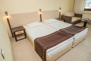 Отель Rhodopi Home Hotel - Half Board Чепеларе Двухместный номер Делюкс с 1 кроватью-5