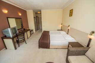 Отель Rhodopi Home Hotel - Half Board Чепеларе Двухместный номер с 2 отдельными кроватями-5