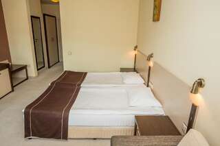 Отель Rhodopi Home Hotel - Half Board Чепеларе Двухместный номер с 2 отдельными кроватями-6