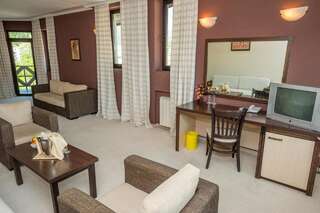 Отель Rhodopi Home Hotel - Half Board Чепеларе Апартаменты с 1 спальней-6
