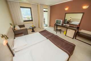Отель Rhodopi Home Hotel - Half Board Чепеларе Двухместный номер с 2 отдельными кроватями-7