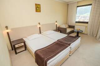 Отель Rhodopi Home Hotel - Half Board Чепеларе Двухместный номер с 2 отдельными кроватями-8