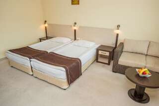 Отель Rhodopi Home Hotel - Half Board Чепеларе Двухместный номер с 2 отдельными кроватями-10