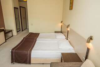 Отель Rhodopi Home Hotel - Half Board Чепеларе Двухместный номер с 2 отдельными кроватями-13